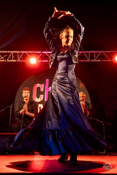 flamenco (109)